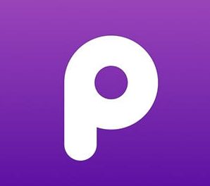 Principle Repo