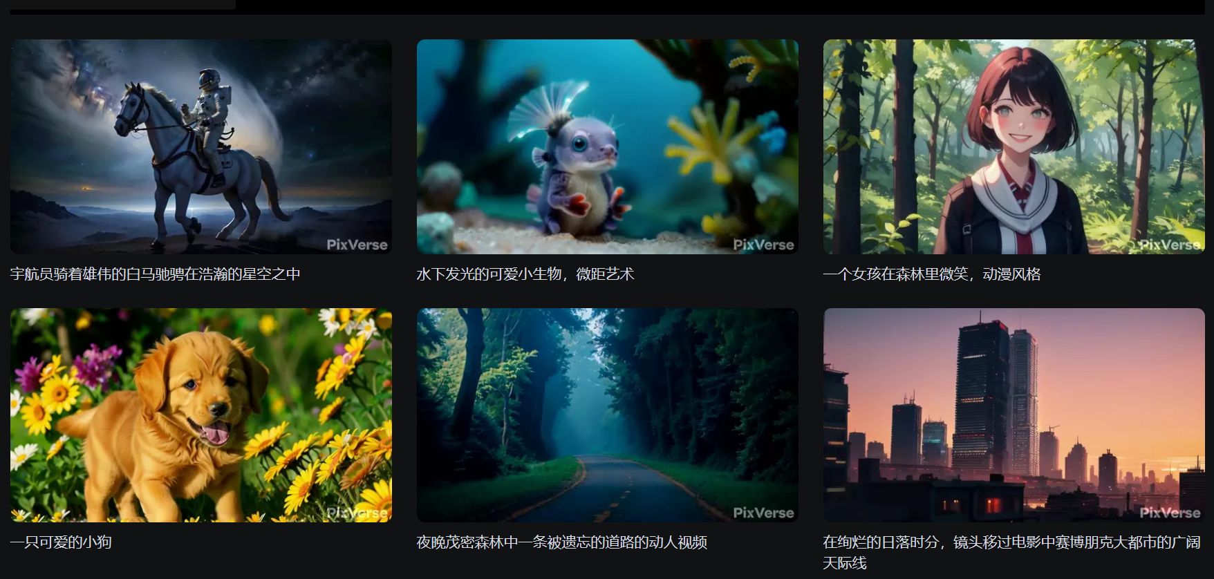 PixVerse 视频预览